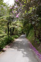 /album/fotogalerie-wellington/botanic-garden-3-jpg/